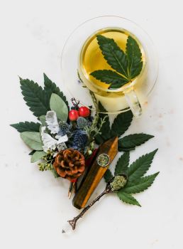 cbd trends