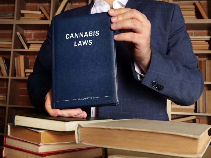 cannabis laws CBD