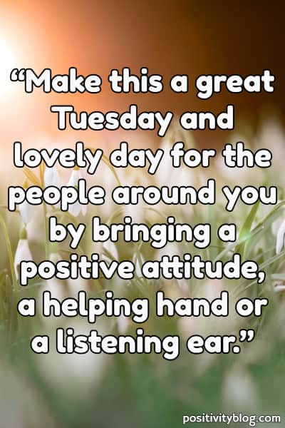 Tuesday blessings 4