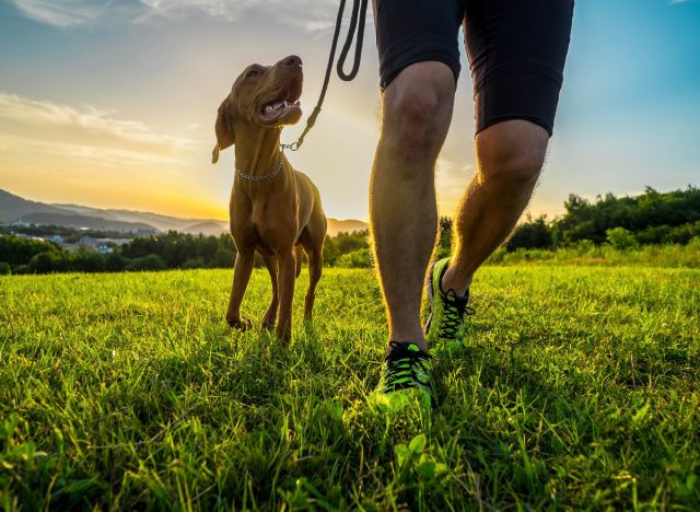 close-up man walking his dog outdoors