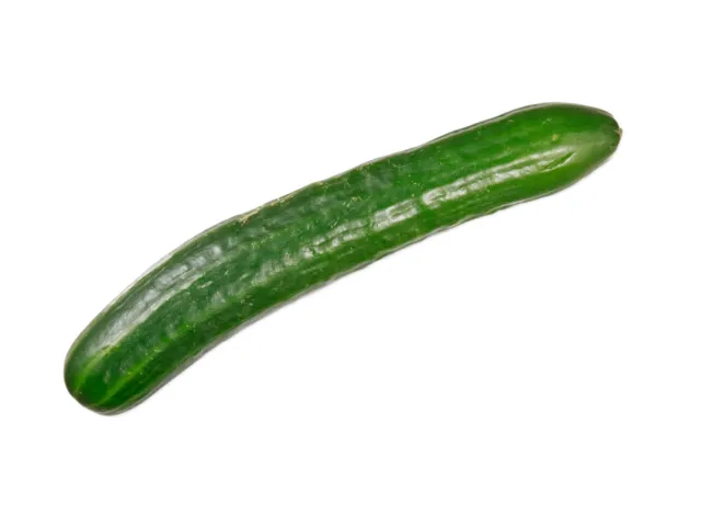 English cucumber