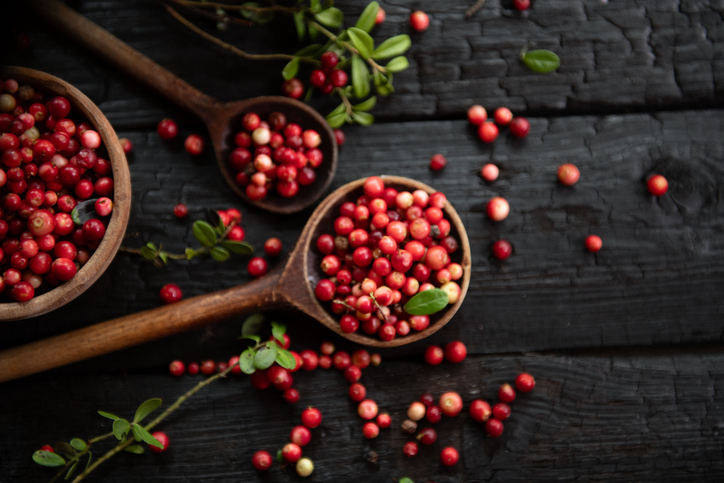 Overhead Shot of Cranberries | Healthiest Fruits