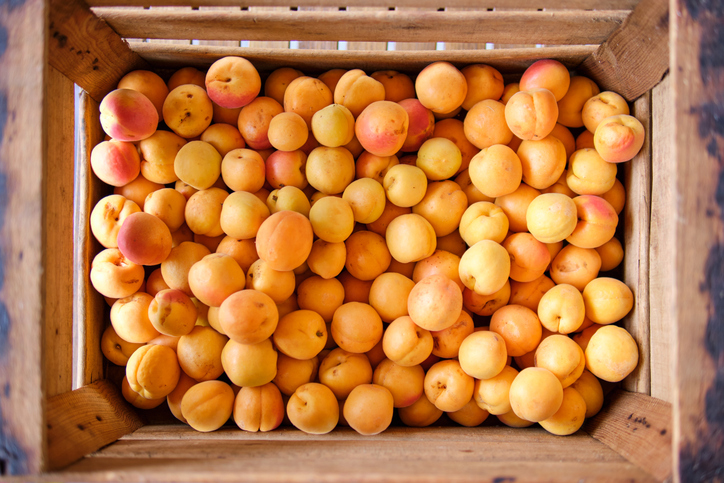 apricots | Healthiest Fruit