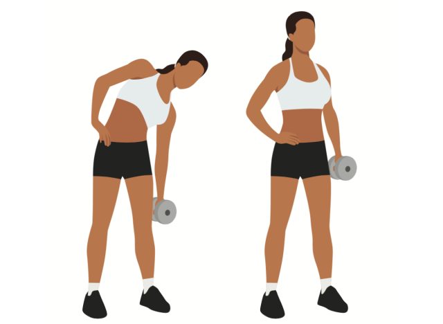 illustration of standing dumbbell side bends