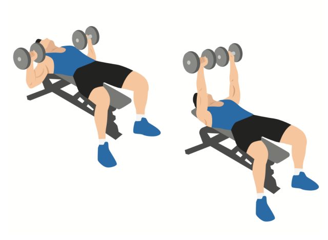 illustration of dumbbell bench press