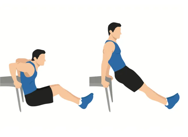 tricep dips illustration