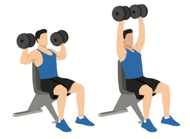 illustration of seated dumbbell shoulder press