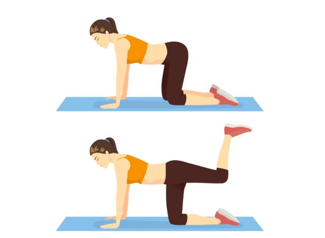 illustration of donkey kick exercise