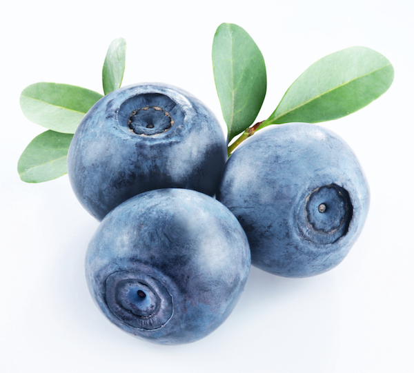 Isolated Image of Bilberries | Bilberry Benefits